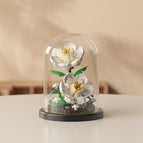 M3124-gardenia [with transparent cover + ordinary base]