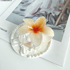 Orange [about 8cm] / Standard