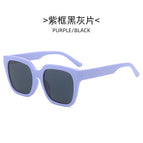 Black and gray purple frame