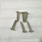 Add a set of stainless steel screws (can be equipped with 4inch cover, the amount for one cover)