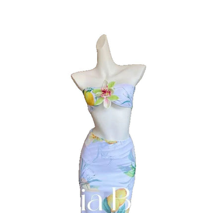 Island Vacation Beach Dress Two-Piece Strapless Bikini Sexy Hot Girl Small Bust Instagram Style Hot Spring Swimsuit