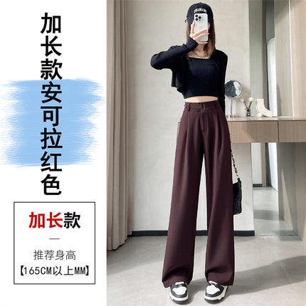 Grey high-end suit pants women's spring and autumn drape pants 2024 new small straight pants narrow wide leg pants