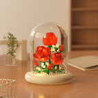 M5003-rose [with transparent cover + light base]