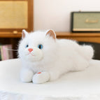 45cm【0.48kg】 / White ragdoll cat-can meow