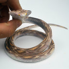 70CM long python flat head