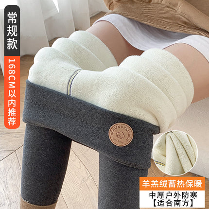 Fleece-Lined Leggings for Women, 2025 Winter Thick Cotton Pants, Fleece Pants, Plus-Size Extra Thick Lamb Fleece Thermal Pants, Autumn Pants