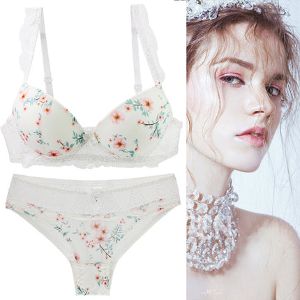 2023 new girls printed sexy lace bra set gathered up women's underwear set bra wholesale