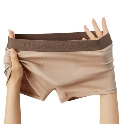 Maillard Cotton Men's Underwear Breathable Boxers Sports Loose Youth Boxer Underwear Men's Trendy