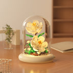 M5009-gardenia [with transparent cover + light base]
