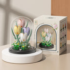 M3123 tulip/transparent cover/color box