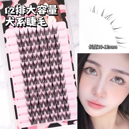 Eyelash Family Lazy Trilogy Series Cat Ear Sun Flower False Eyelash Single Cluster Mixed Style One-stop Purchase