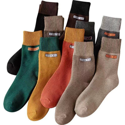 Autumn and winter fleece-lined thick socks men's terry socks deodorant warm terry socks academic style all-match ins fashionable stockings