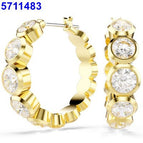 Earrings / V gold