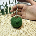 Green pumpkin (1 piece)