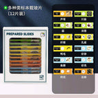 Specimen/12 pieces/box