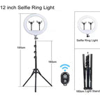 1.6m12 inch fill light set