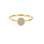 February violet-gold / Circumference 49mm -us5