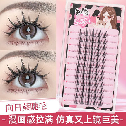 Eyelash Family Lazy Trilogy Series Cat Ear Sun Flower False Eyelash Single Cluster Mixed Style One-stop Purchase