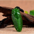 Cicada