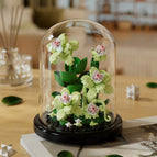 Qingfeng xu lai-including dust cover 235pcs [color box]
