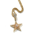 Golden Pendant +24inch twist chain