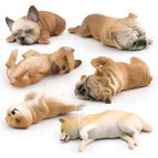 Brown dogs set 251g