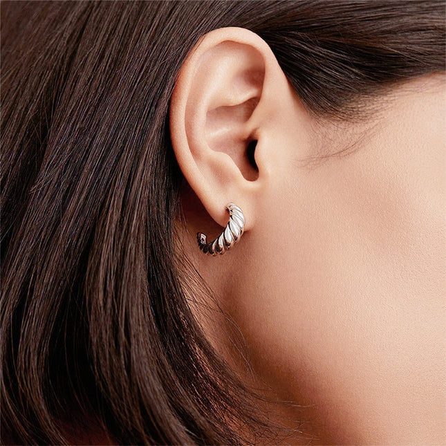 Korean Style Simple Croissant Twist Earrings Stainless Steel Curved Ear Pins Gold-Plated Women's Earrings Wholesale