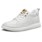 White [Elevated 6]] / 38
