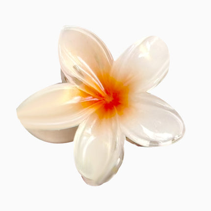 European and American Cross-Border Frosted Gradient Plumeria Hair Clip Elegant Women's Shark Clip Large Beach Hair Accessory Wholesale