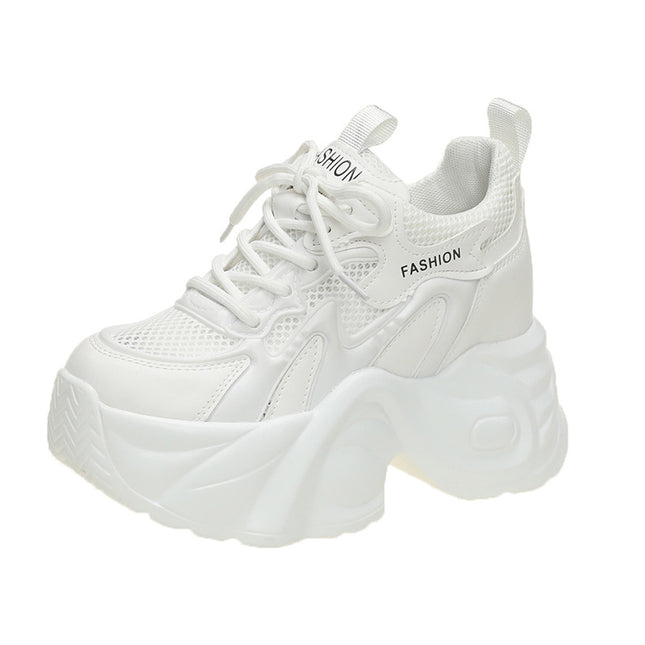 10cm Thick-Soled Height-Increasing Dad Shoes for Women, Mesh 2025 Summer Breathable New Versatile Casual Sports Shoes