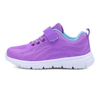Purple / 29
