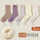 Velvet and thickening [5 pairs] purple + camel + khaki + lotus root powder + beige