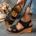 Black / 36