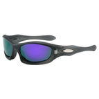 Gray frame revo purple