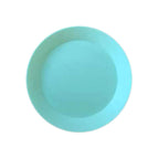 small dish green