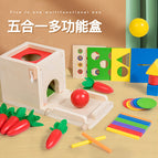 5-in-1 montessori coin box (color box)