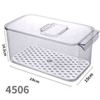 4506. transparent box-with lid and drain 1 pet high transparency