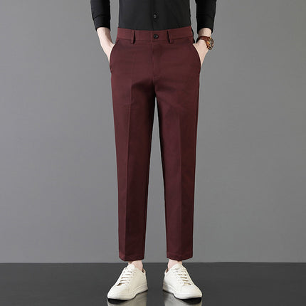 2025 Light Luxury Spring Men's Casual Small Trousers Stretch Business Straight Men's Cropped Pants