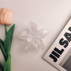 8cm white transparent plumeria clip