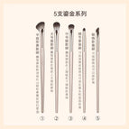 5 gilt makeup brushes [naked brush opp bag]