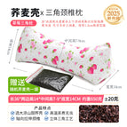 Cotton Twill Strawberry-Buckwheat Pillow