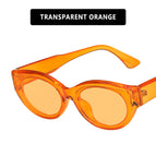 Transparent orange / Metal Hinges
