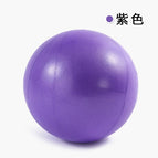 [purple] pilates ball 25cm