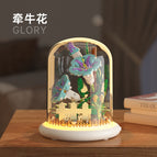[Gift box] M1095 morning glory