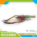 Pl127-1935 long arm shrimp 13g