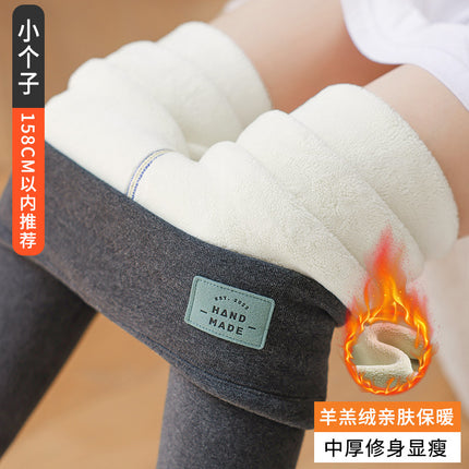 Women's Winter Fleece-Lined Thick Leggings 2025 New Warm Pants for Outdoor Wear, Northeast Fleece Pants, Spring and Autumn Wool Pants