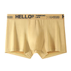 817 hello-turmeric / L (37.5-50kg )