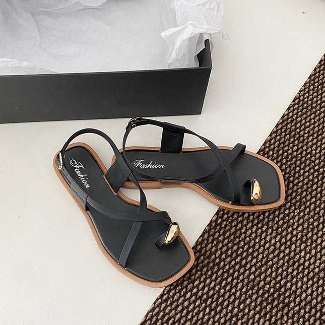 2024 New Arrival Set Toe Sandals and Slippers Women's Summer Outer Wear Cyber Celebrity Ins Flat French Style High-grade Clip-toe Women's Shoes