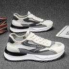 17m colors / 39 standard sports code
