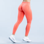 Coral powder / XS
